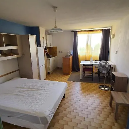 16 Le Cap D'agde Avec Parking Prive Proche Du Centre Agde