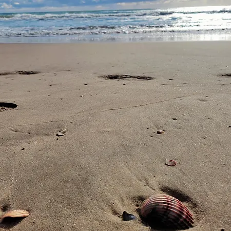 16 Le Cap D'agde Avec Parking Prive Proche Du Centre